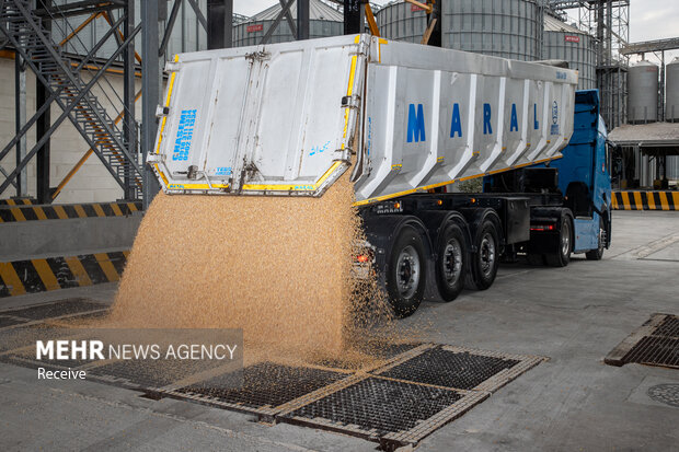 تخلیه و حمل یکسره گندم از کشتی با قطار پس از سال‌ها در بندر شهید رجایی
